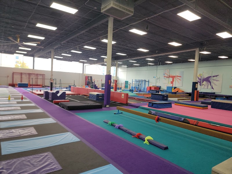 Viking Gymnastics Club photo 3