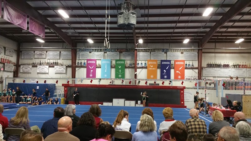 Gymnastics Revolution photo 3