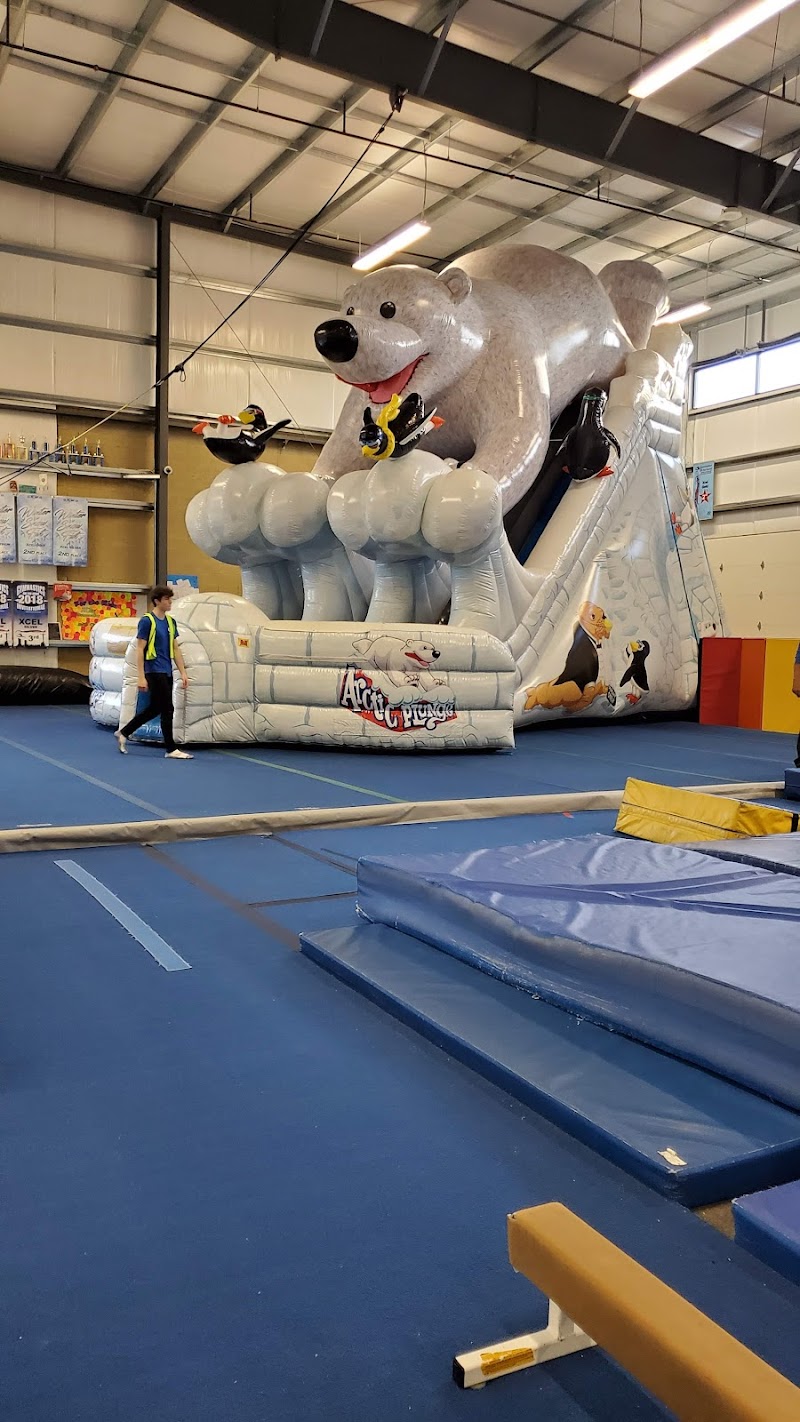 For the Kidz Gymnastics and Trampoline photo 3