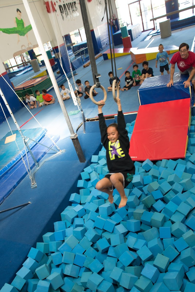 Payke Gymnastics Academy photo 2