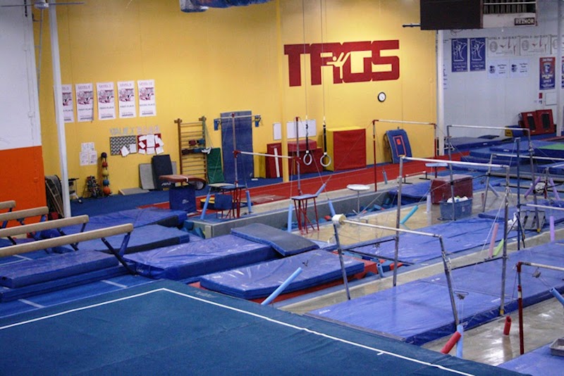 TAGS South Gymnastics photo 2