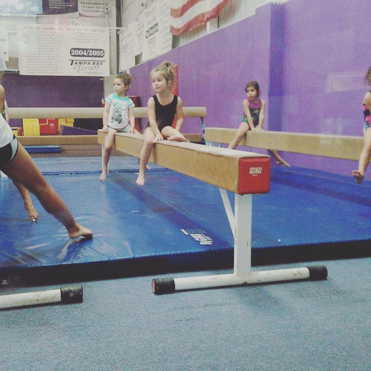 Tampa Bay Turners Gymnastics photo 3