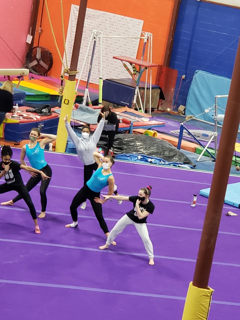Olympic Start Elite Gymnastics